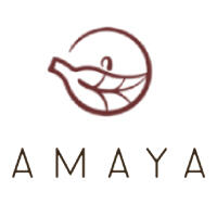 logomarca da marca de chás orgânicos Amaya Chás.