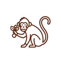 icone-preservacao-mata-atlantica-omicha.jpg Ícone em linhas de um macaco segurando um ramo de folhas, representando a preservação da fauna e da biodiversidade da Mata Atlântica.