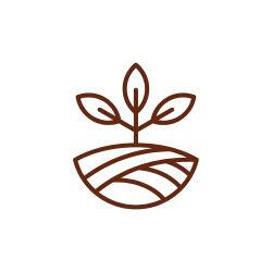 Ícone minimalista em linhas marrons exibindo um broto com folhas crescendo a partir de uma porção de solo cultivado, representando a pureza dos chocolates orgânicos da Omicha em Fortaleza.