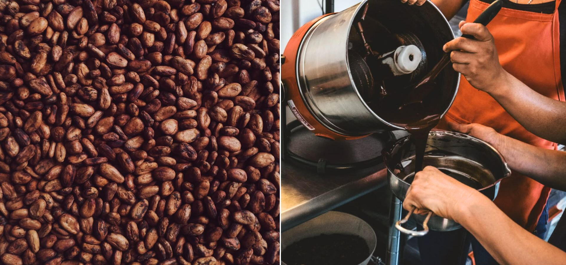 processo-bean-to-bar-moagem-chocolates-amendoas-cacau.jpg Imagem dividida ao meio exibindo amêndoas de cacau de origem secas e selecionadas à esquerda e o processo artesanal de transferência do chocolate fluido do melanger para recipiente inox à direita.