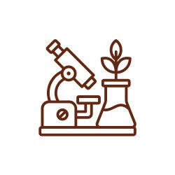 Ícone marrom ilustrando um microscópio ao lado de um balão de laboratório com uma planta brotando, destacando o rigor técnico, segurança e saúde alimentar na curadoria dos chocolates da Omicha.
