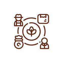 Ícone em linhas marrons mostrando um ciclo de rastreabilidade com agricultor, saco de insumos, consumidor e uma planta centralizada, representando a origem e o comércio justo da Omicha em Fortaleza.